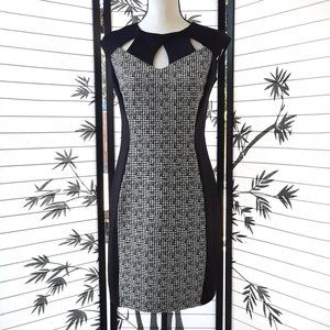 Enfocus Studio Black White Cap Sleeve Sheath Dress